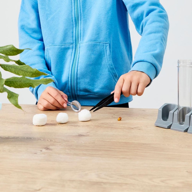 MINILAND ΕΚΠΑΙΔΕΥΤΙΚΟ ΣΕΤ ΕΞΕΡΕΥΝΗΣΗΣ ΤΗΣ ΦΥΣΗΣ GENIUS LAB NATURE EXPLORERS