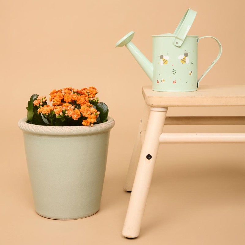 MINILAND ΠΑΙΔΙΚΟ ΠΟΤΙΣΤΗΡΙ ΚΗΠΟΥΡΙΚΗΣ - GARDENING WATERING CAN