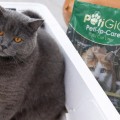 PETIGIO ΦΥΣΙΚΗ ΑΜΜΟΣ ΓΑΤΑΣ TOFU NATURAL