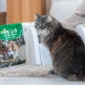 PETIGIO ΦΥΣΙΚΗ ΑΜΜΟΣ ΓΑΤΑΣ TOFU NATURAL