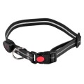 PETIGIO LED ΚΟΛΑΡΟ ΣΚΥΛΟΥ SMALL 34–45 CM